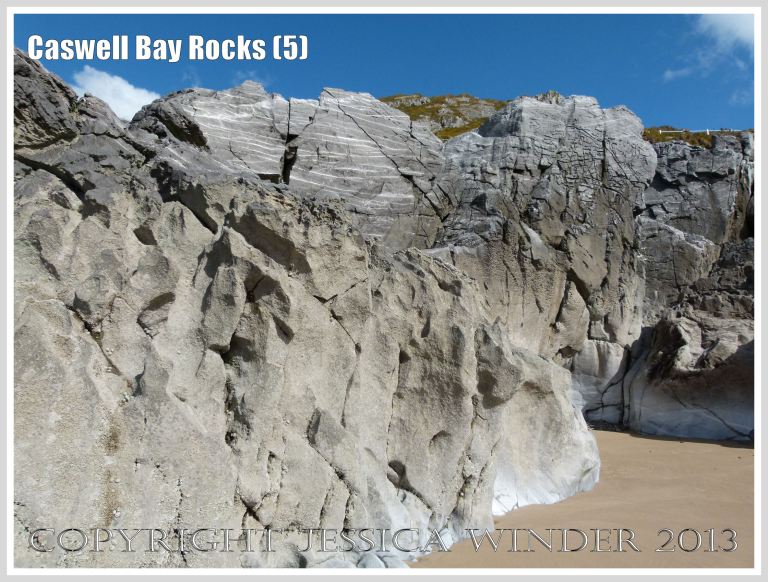 Carboniferous Limestone formations at Caswell Bay, Gower, South Wales, UK.
