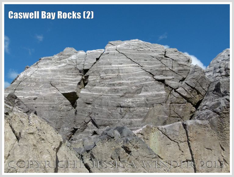 Carboniferous Limestone formations at Caswell Bay, Gower, South Wales, UK.