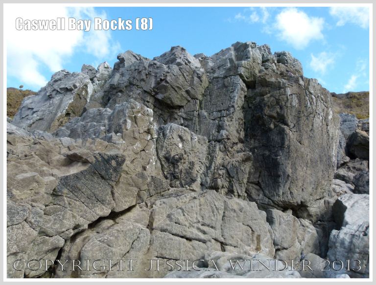 Carboniferous Limestone formations at Caswell Bay, Gower, South Wales, UK.