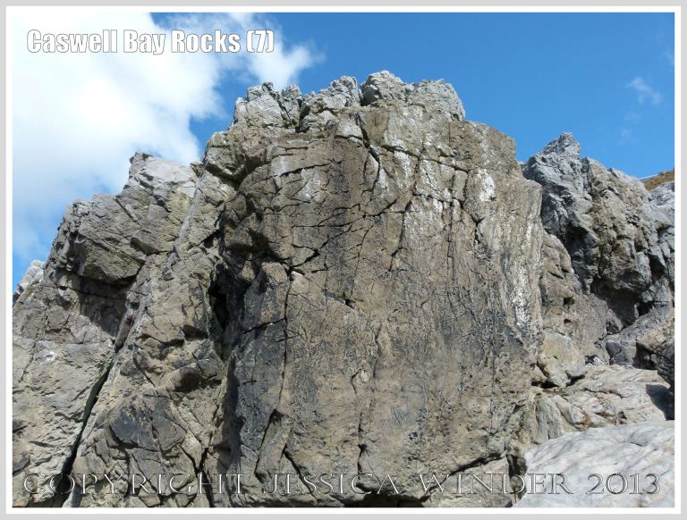 Carboniferous Limestone formations at Caswell Bay, Gower, South Wales, UK.