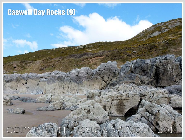 Carboniferous Limestone formations at Caswell Bay, Gower, South Wales, UK.
