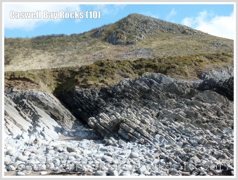 Carboniferous Limestone formations at Caswell Bay, Gower, South Wales, UK.