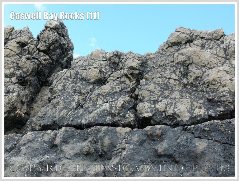 Carboniferous Limestone formations at Caswell Bay, Gower, South Wales, UK.
