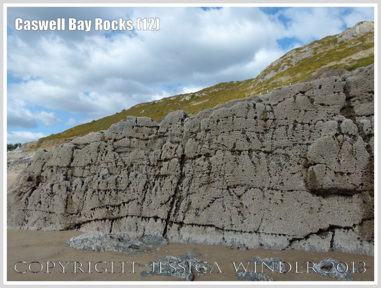 Carboniferous Limestone formations at Caswell Bay, Gower, South Wales, UK.