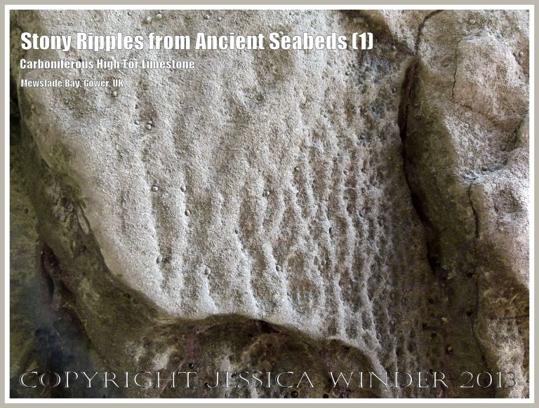 Rock with preserved seabed ripples