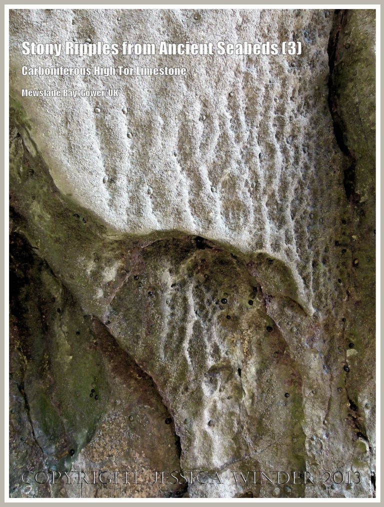 Rock with preserved seabed ripples