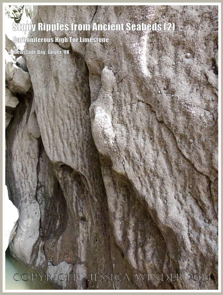 Rock with preserved seabed ripples