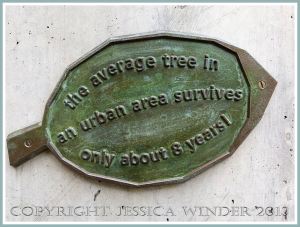 Leaf plaque with tree information from a bronze tree sculpture at Kew Gardens.