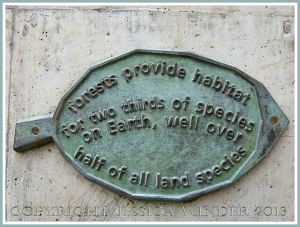 Leaf plaque with tree information from a bronze tree sculpture at Kew Gardens.