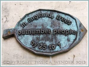 Leaf plaque with tree information from a bronze tree sculpture at Kew Gardens.