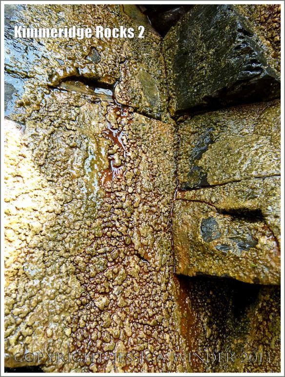 Wet rock colour and texture 
