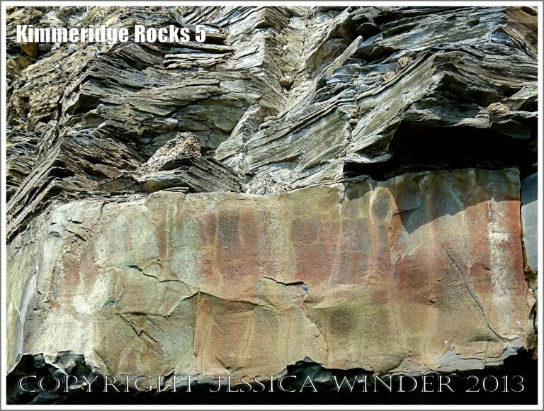 Cliff strata at Kimmeridge Bay