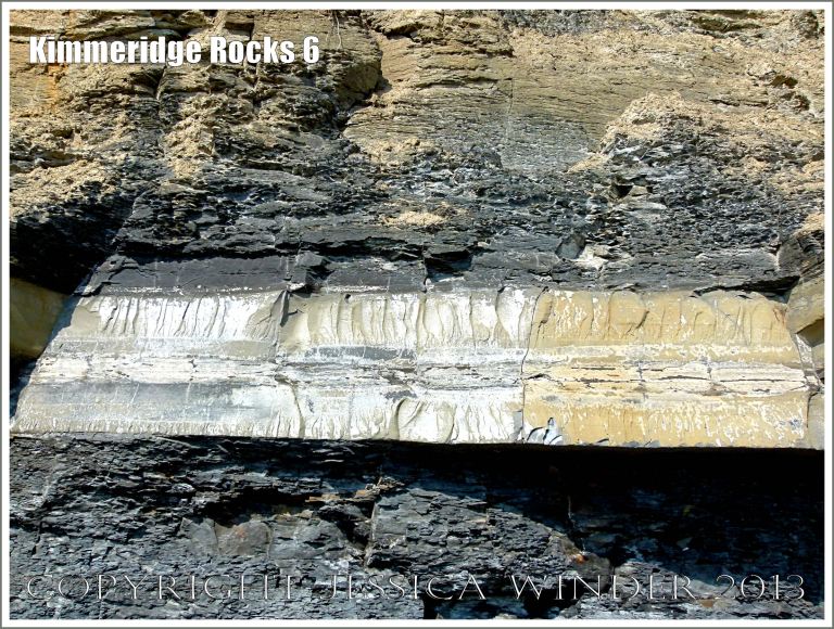 Cliff strata at Kimmeridge Bay