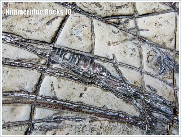 Kimmeridge Rocks 10-12 – Jessica's Nature Blog