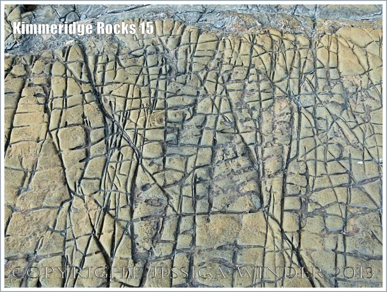 Natural patterns in a rock pavement