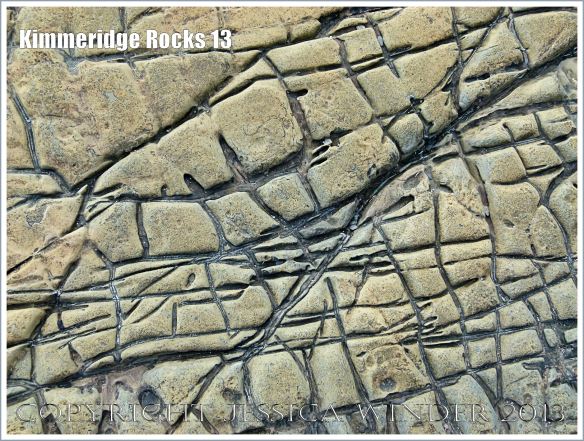 Kimmeridge Rocks 13-15 – Jessica's Nature Blog