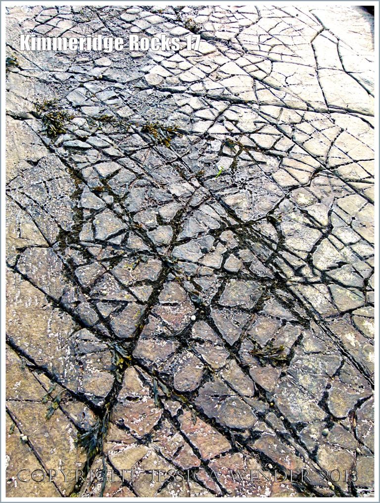 Natural patterns in a rock pavement