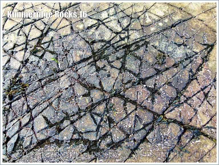 Natural patterns in a rock pavement