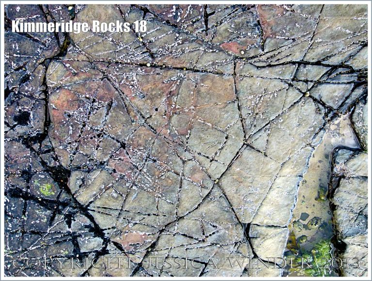 Natural patterns in a rock pavement