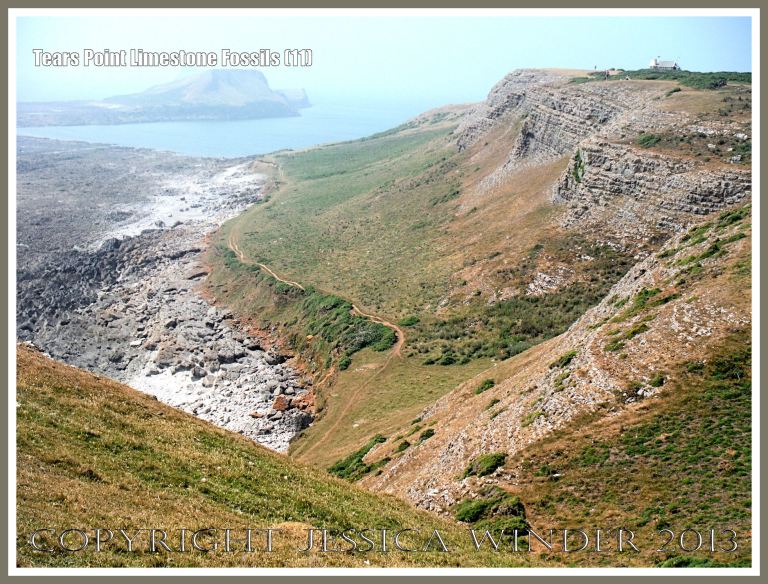 Worms Head and causeway viewed from the height of Tears Point