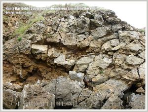Rock texture in the cliffs on the west side of Broughton Bay, Gower, South Wales.