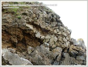 Rock texture in the cliffs on the west side of Broughton Bay, Gower, South Wales.
