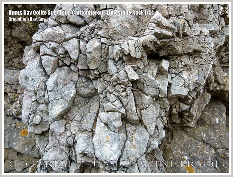 Rock textures and fracture patterns in Gower Carboniferous Limestone