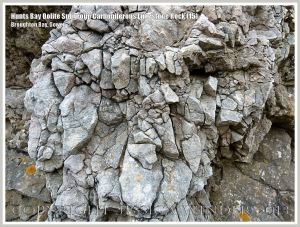 Rock textures and fracture patterns in Gower Carboniferous Limestone
