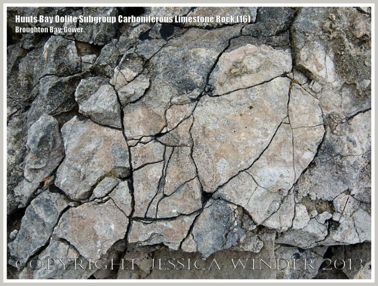 Rock textures and fracture patterns in Gower Carboniferous Limestone