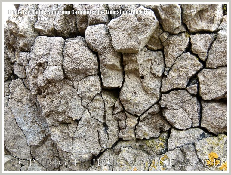 Rock textures and fracture patterns in Gower Carboniferous Limestone