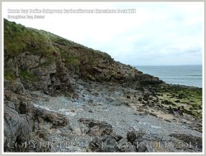 Rock texture in the cliffs on the west side of Broughton Bay, Gower, South Wales.