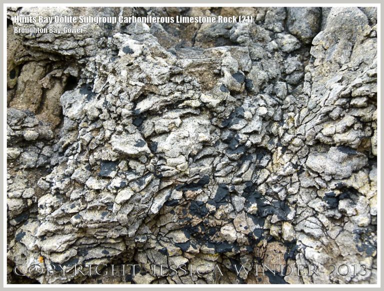 Rock textures and fracture patterns in Gower Carboniferous Limestone