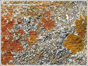 Close-up of granite texture and structure