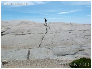 Glaciated granite landscape at Peggy's Cove, Nova Scotia, Canada