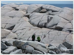 Glaciated granite landscape at Peggy's Cove, Nova Scotia, Canada