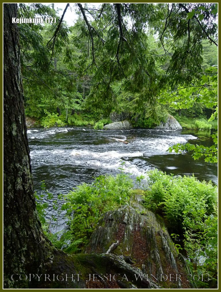 Cascade in the river where the water falls over slate rocks in Kejimkujik National Park