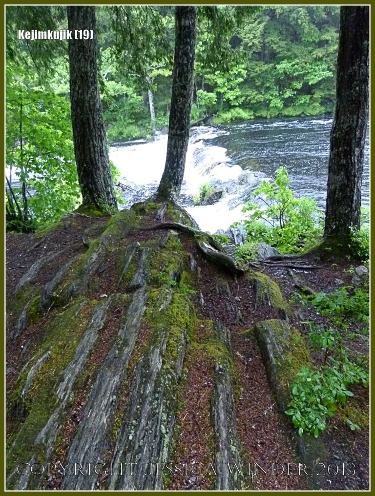 Clear line of upstanding Halifax Formation slate strata extending from the bank and across the River Mersey at Kejimkujik National Park