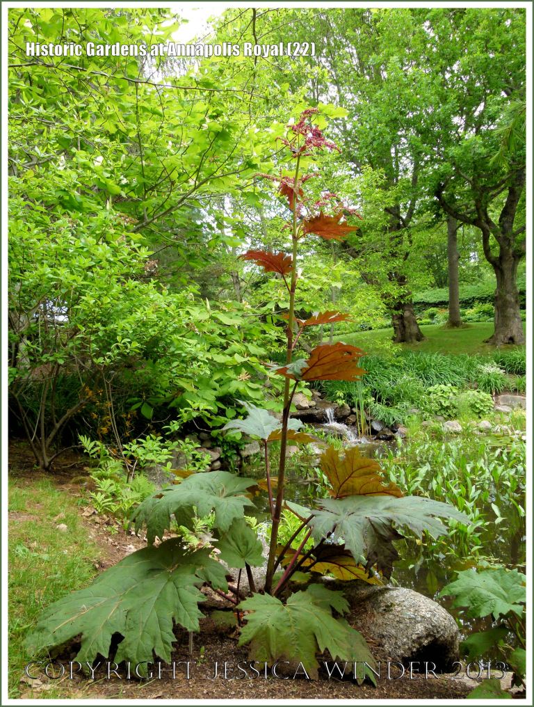 View at Historic Gardens, Annapolis Royal, Nova Scotia, Canada.