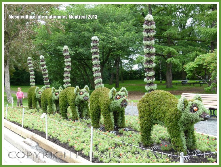 Lemur sculptures made with living plants