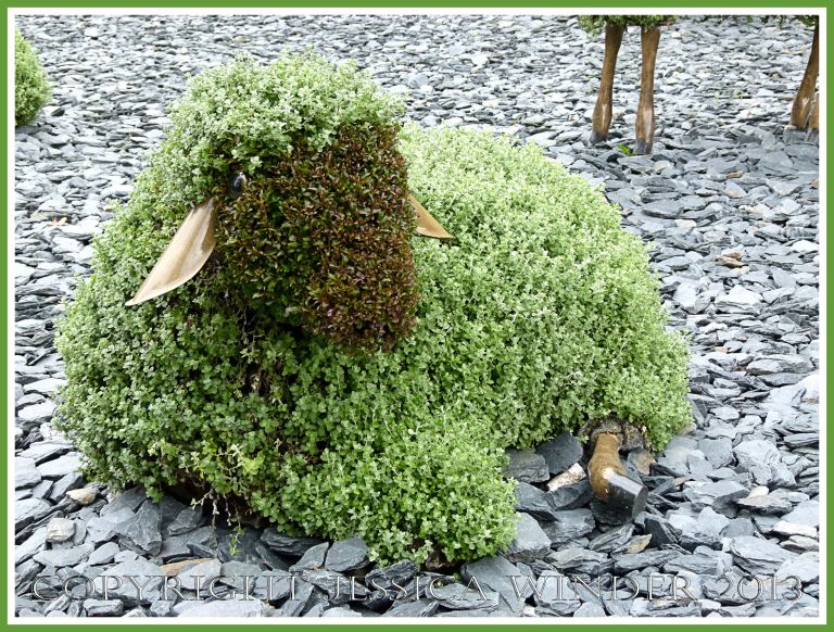 A mosaiculture sheep sculpture - part of a mosaiculture tableau depicting the shepherd who changed a desolate and arid land into fertile fields and forest by planting trees.