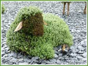 A mosaiculture sheep sculpture - part of a mosaiculture tableau depicting the shepherd who changed a desolate and arid land into fertile fields and forest by planting trees.