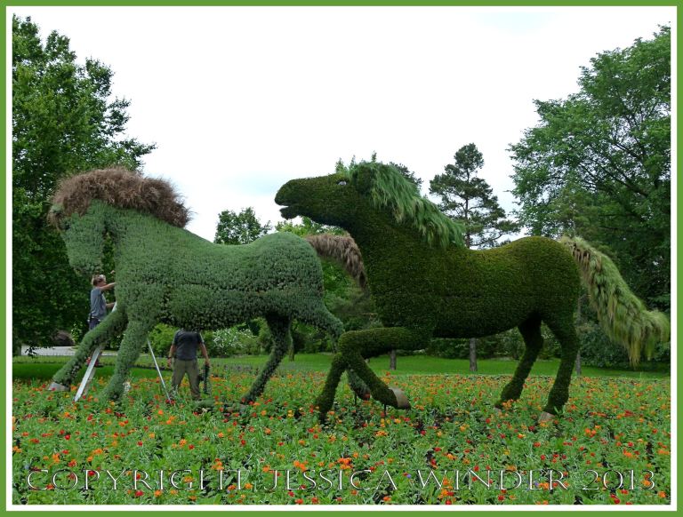 Horses - part of a mosaiculture tableau depicting the shepherd who changed a desolate and arid land into fertile fields and forest by planting trees.
