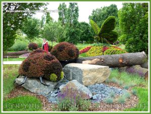Larger than life ladybirds sculpted from living plants at the Jardins Botanique Montreal