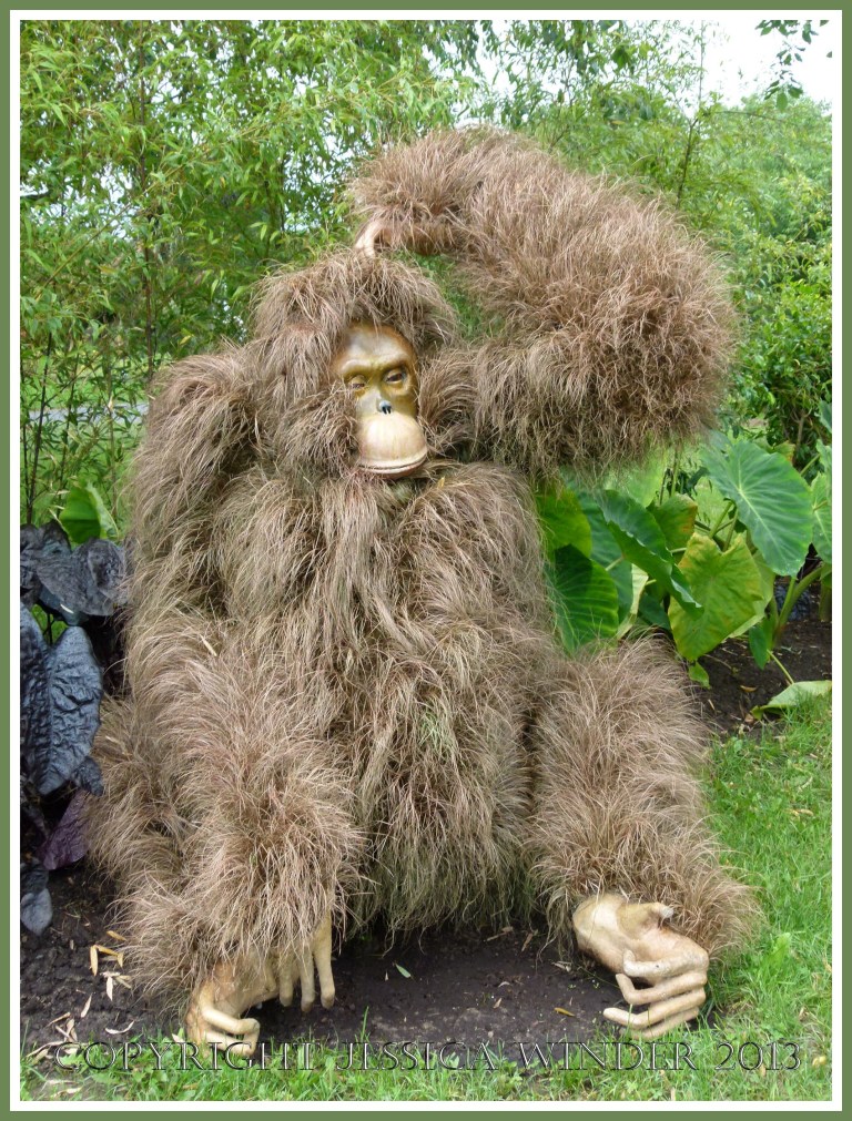 Orangutan mosaiculture sculpture, entitled "Hands Up", made with living plants.