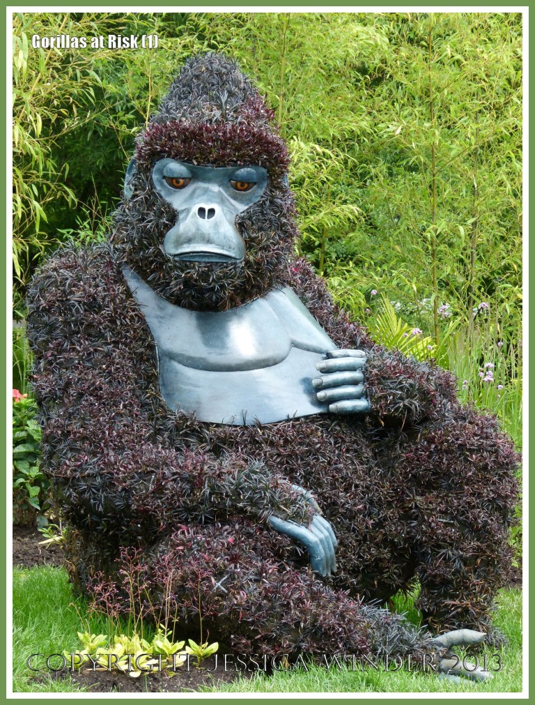 Plant sculpture of Mountain Gorilla