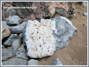 Red Triassic rock remnant with calcite crystal in faulted Carboniferous limestone.