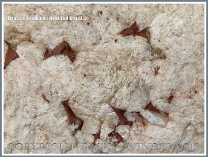 Red Triassic rock remnants with calcite crystal in faulted Carboniferous limestone.