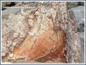 Red Triassic rock remnant with calcite crystal in faulted Carboniferous limestone.