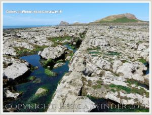 Gullies with seaweed in Carboniferous Limestone wave-cut platform