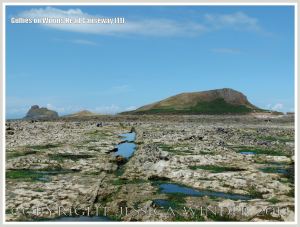 Gully with seaweed in Carboniferous Limestone wave-cut platform